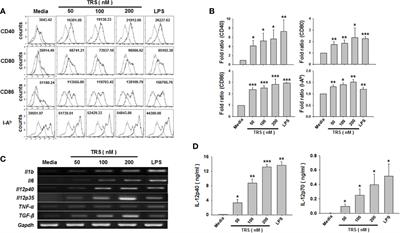 Threonyl-tRNA Synthetase Promotes T Helper Type 1 Cell Responses by Inducing Dendritic Cell Maturation and IL-12 Production via an NF-κB Pathway